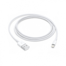 Câble Lightning vers USB 1 m - Original Apple
