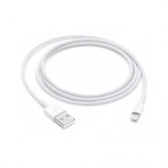 Câble Lightning vers USB 1 m - Original Apple